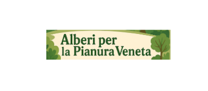Alberi in pianura Alberi in pianura
