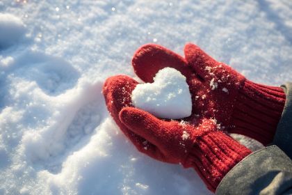 Storie di neve