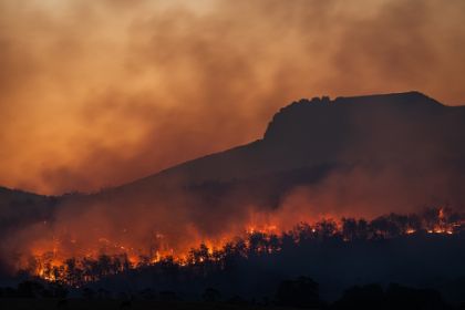 Catasto incendi boschivi