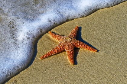 Un'estate al mare