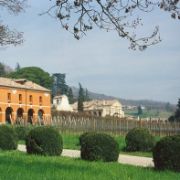 La Cantina Storica (Gianluca Mastrangelo)