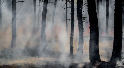 Incendio